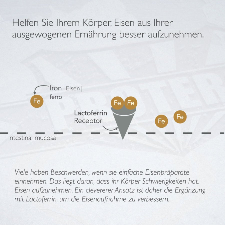 Lactoferrin Komplex aus Weidemilch