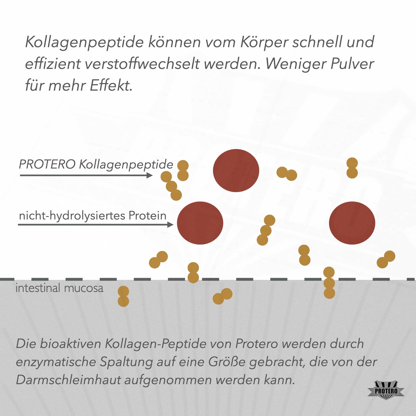 Grass-Fed Kollagen Peptide | Pure Solugel Collagen Peptides Hydrolysate