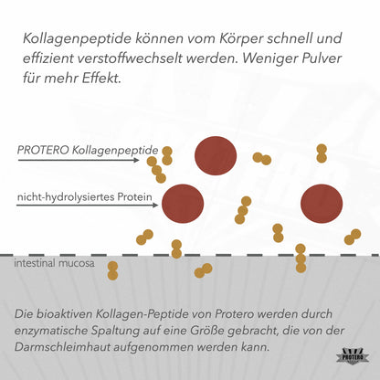 Grass-Fed Kollagen Peptide | Pure Solugel Collagen Peptides Hydrolysate