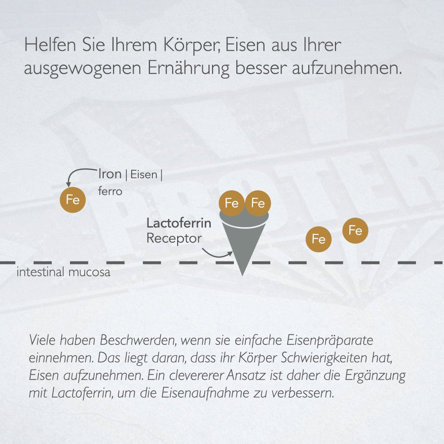 Pures Lactoferrin aus Weidemilch - versandkostenfrei (DE)